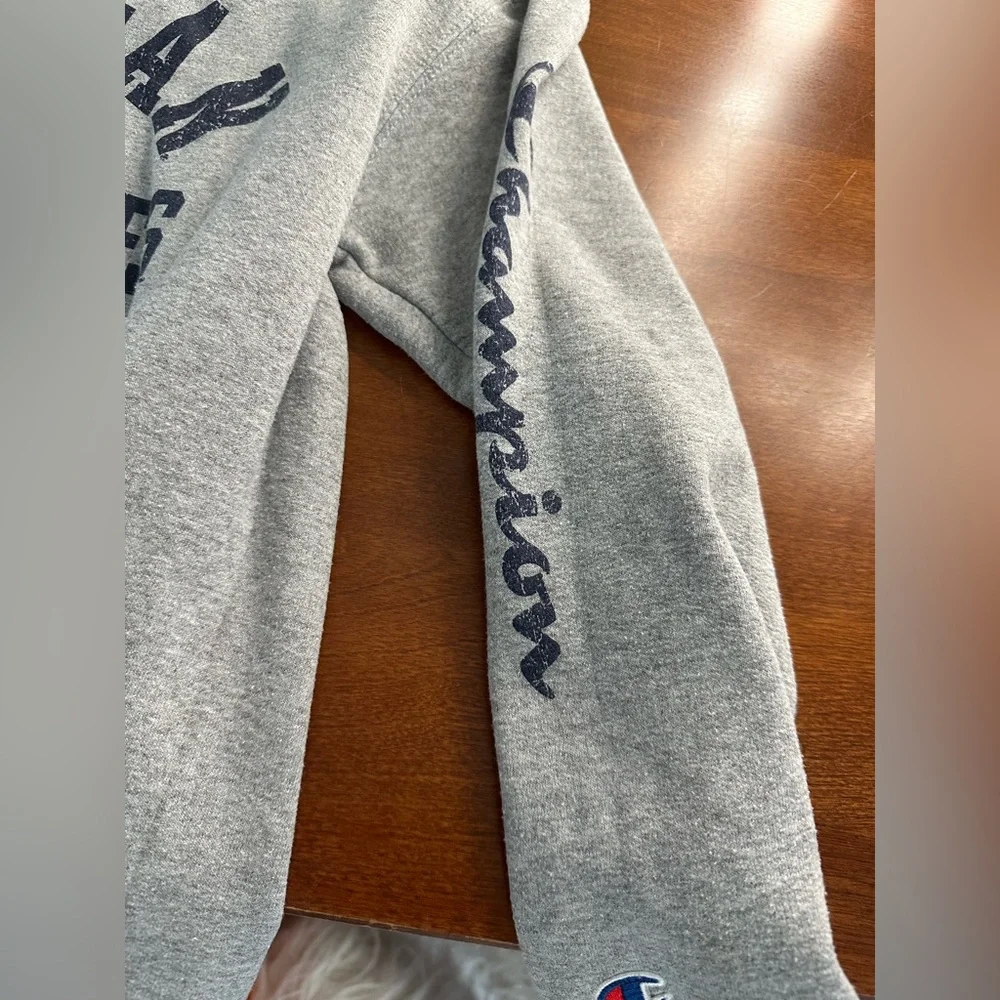 Champion University of Michigan Crewneck - Picture 3 of 3